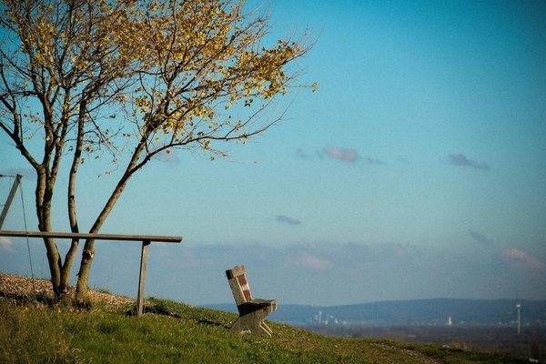 Sécuriser les sportifs : l'indispensable rôle des exercices de proprioception pour prévenir les blessures